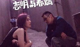 春娇与志明2在线观看,爱情长跑中的甜蜜与挑战